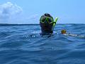 Unter Wasser (63)